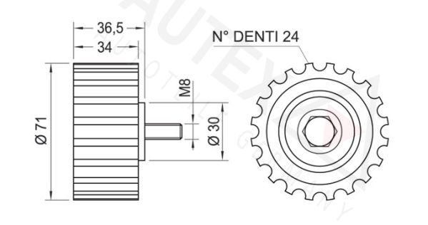 AUTEX Ohjainrulla, hammashihna 651851