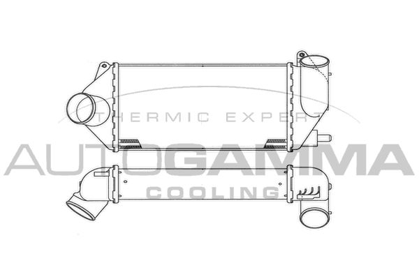 AUTOGAMMA Välijäähdytin 101921