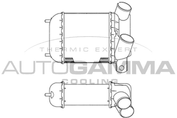 AUTOGAMMA Välijäähdytin 101950
