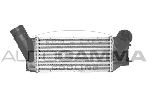 AUTOGAMMA Välijäähdytin 103003