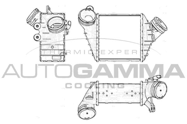 AUTOGAMMA Välijäähdytin 103727