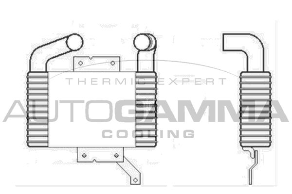 AUTOGAMMA Välijäähdytin 104432