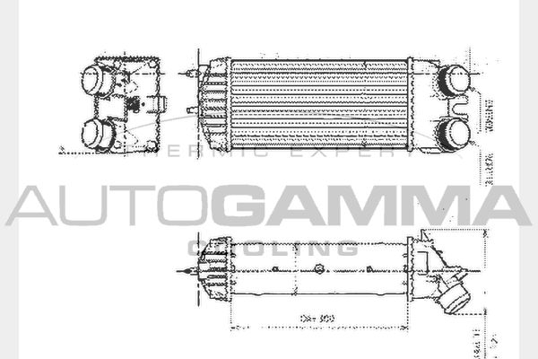 AUTOGAMMA Välijäähdytin 104585