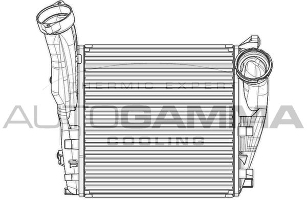 AUTOGAMMA Välijäähdytin 105066