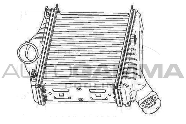 AUTOGAMMA Välijäähdytin 105241