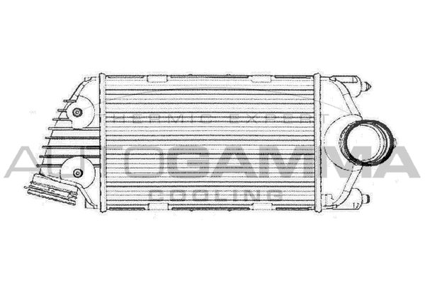 AUTOGAMMA Välijäähdytin 105379