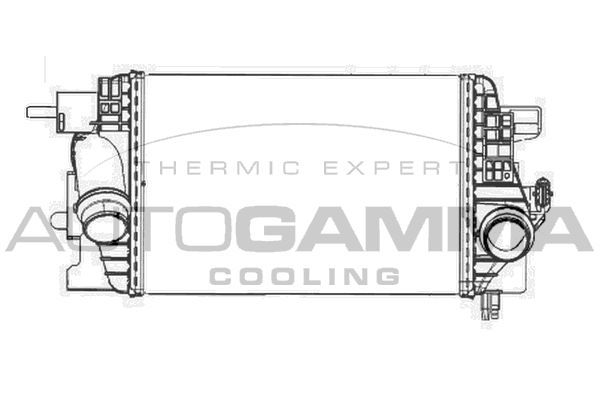 AUTOGAMMA Välijäähdytin 105630