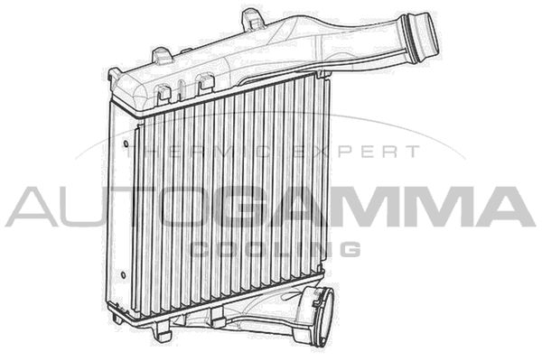 AUTOGAMMA Välijäähdytin 107553