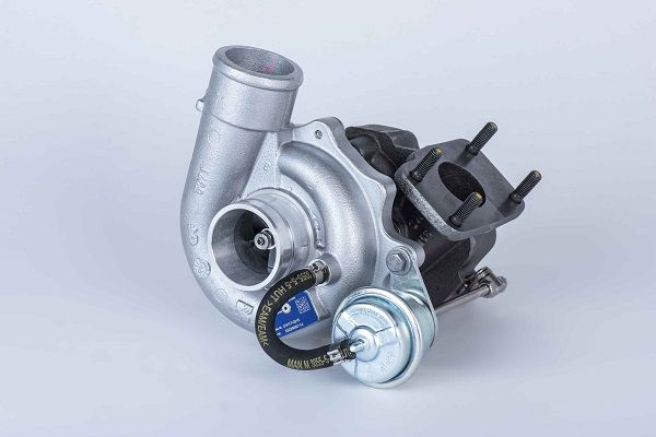 BORGWARNER Ahdin 53039880114