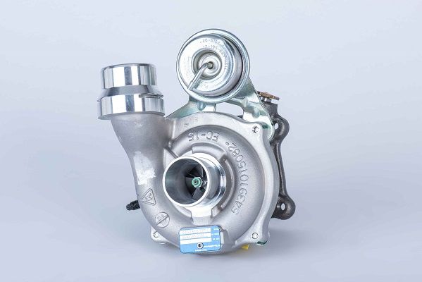 BORGWARNER Ahdin 54359980029