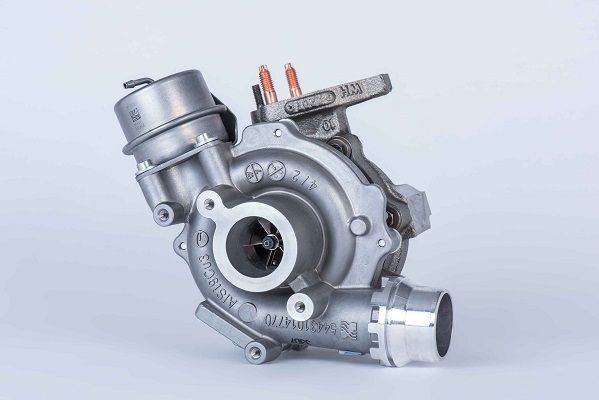 BORGWARNER Ahdin 54389880006