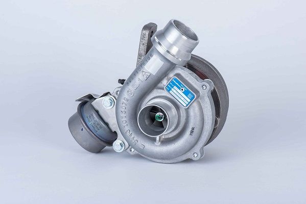 BORGWARNER Ahdin 54399980027