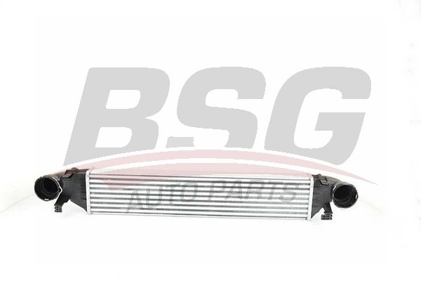BSG Välijäähdytin BSG 60-535-001