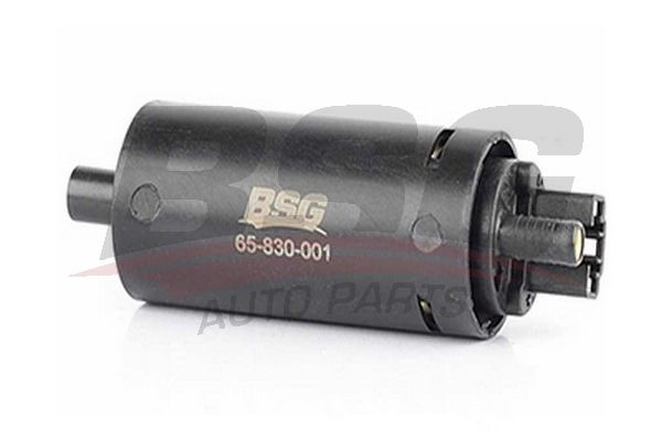 BSG Polttoainepumppu BSG 65-830-001