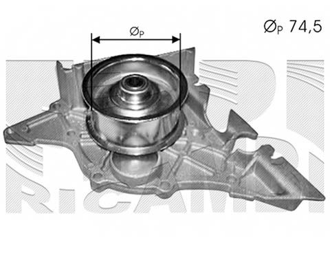 CALIBER Vesipumppu WPC409