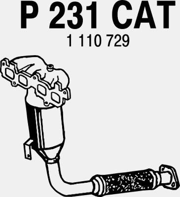 FENNO Katalysaattori P231CAT