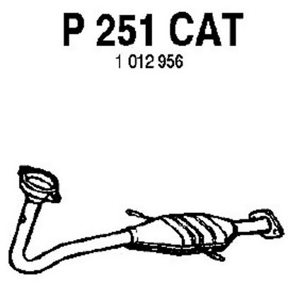 FENNO Katalysaattori P251CAT