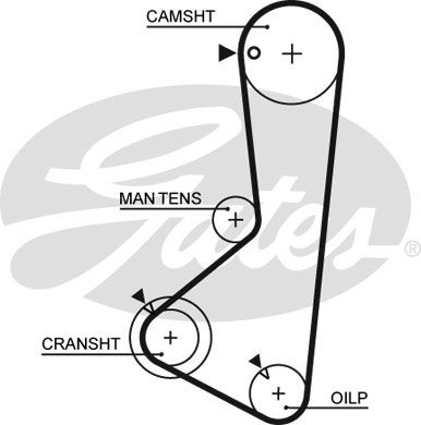 GATES Hammashihnat 5256XS