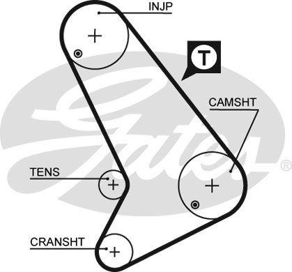 GATES Hammashihnat 5571XS