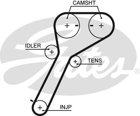 GATES Hammashihnat 5651XS