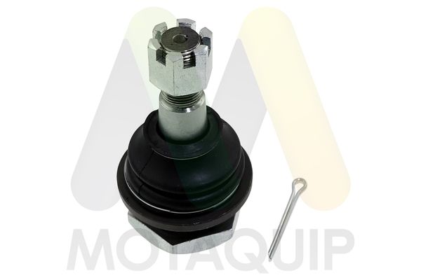 MOTAQUIP Pallonivel LVSJ1158