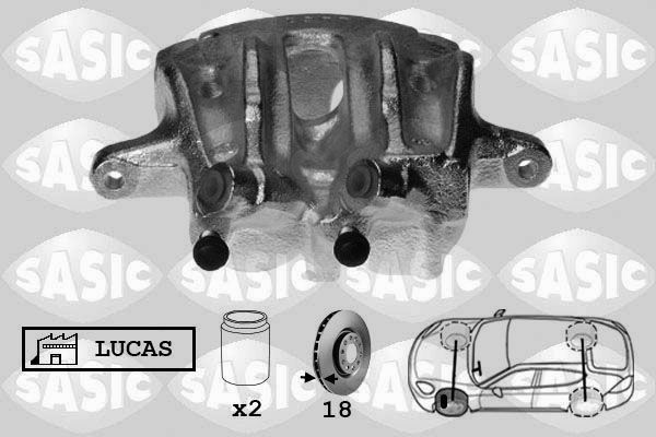 SASIC Jarrusatula SCA0062