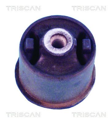 TRISCAN Akselinripustus 8500 29850