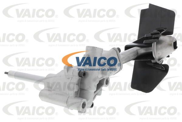 VAICO Öljypumppu V10-0140-1