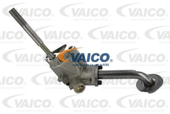 VAICO Öljypumppu V10-0599