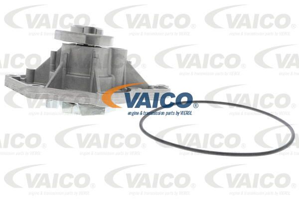 VAICO Vesipumppu V10-50061-1