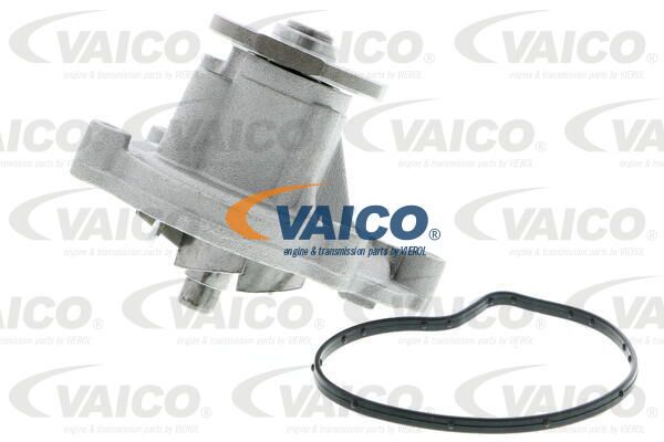 VAICO Vesipumppu V30-50056