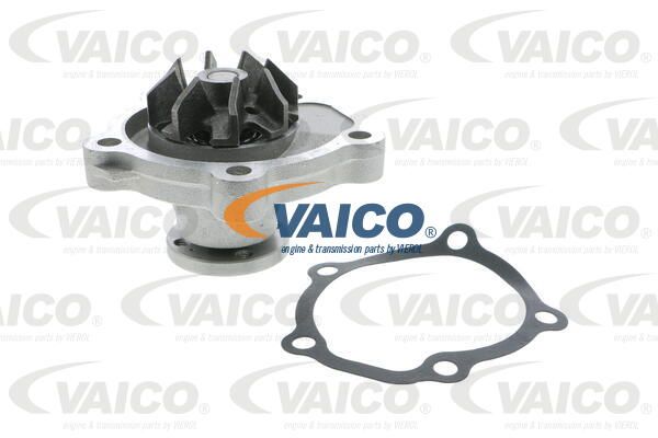 VAICO Vesipumppu V64-50001