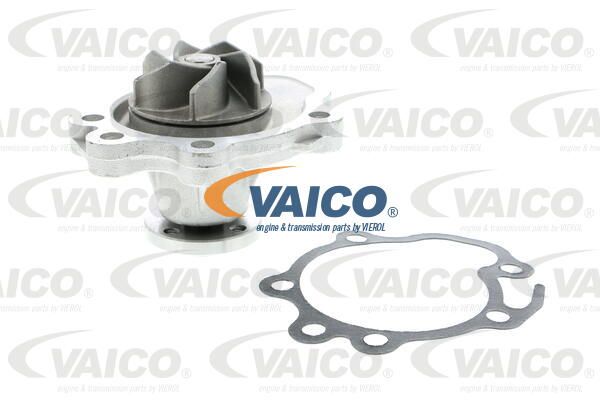 VAICO Vesipumppu V64-50006