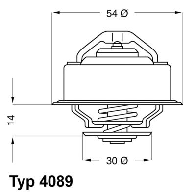 WAHLER Termostaatti, jäähdytysneste 4089.87D