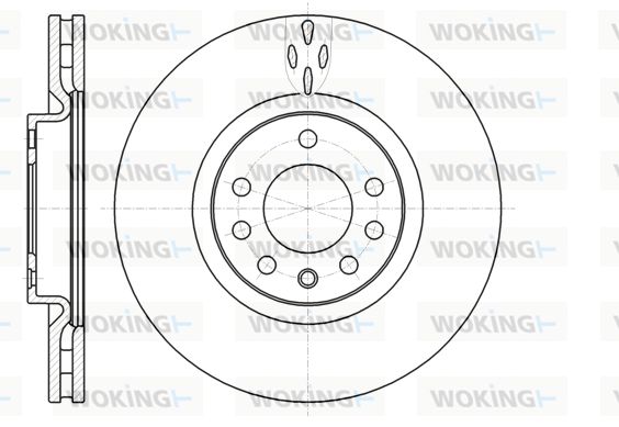 WOKING Jarrulevy D61017.10