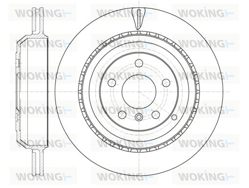 WOKING Jarrulevy D61031.10