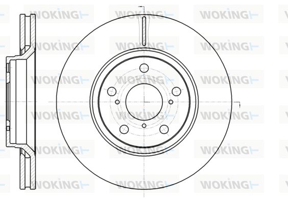 WOKING Jarrulevy D61121.10