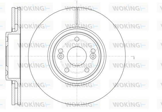 WOKING Jarrulevy D61171.10