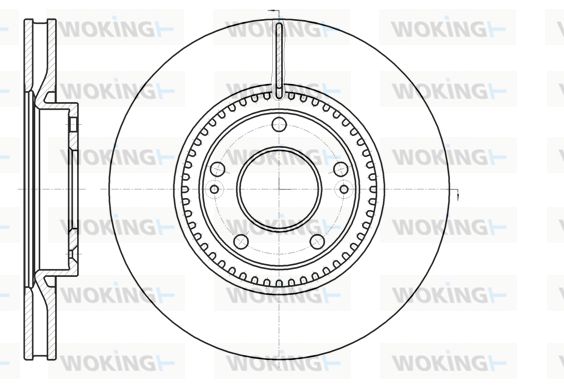 WOKING Jarrulevy D61217.10