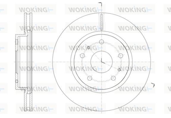 WOKING Jarrulevy D61423.10