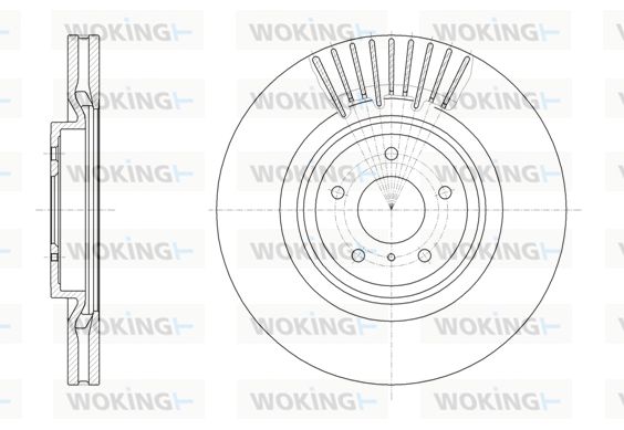 WOKING Jarrulevy D61508.10