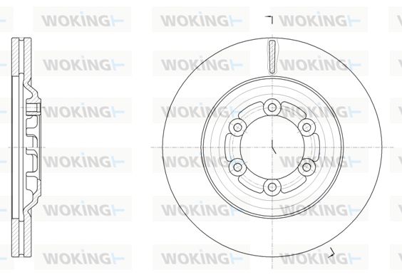 WOKING Jarrulevy D61510.10