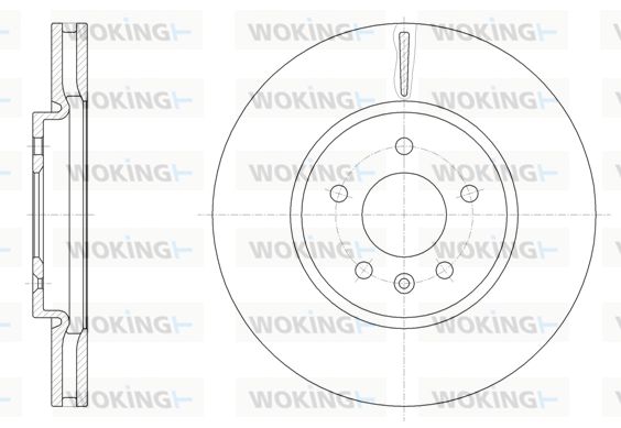 WOKING Jarrulevy D61541.10