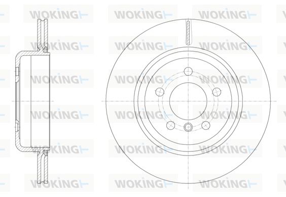 WOKING Jarrulevy D61550.10