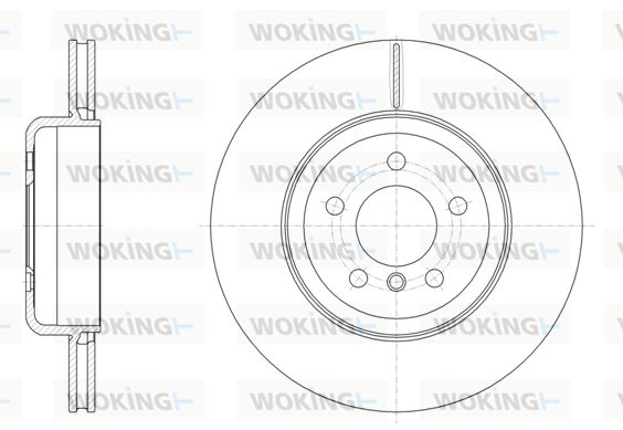 WOKING Jarrulevy D61551.10